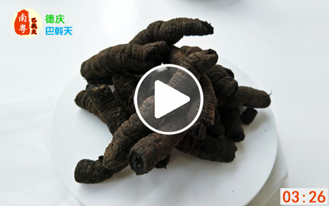Mature Premium Fresh Roots